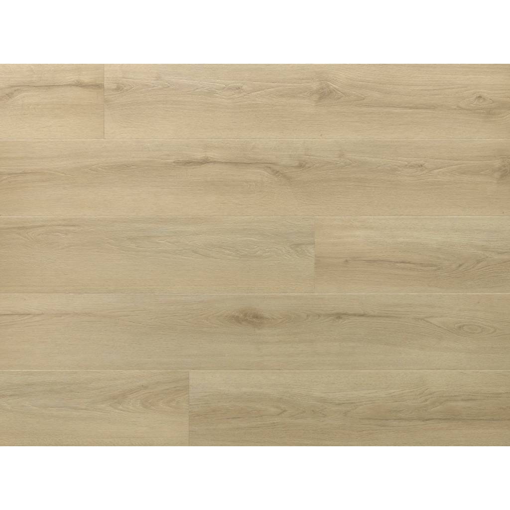 Panele Winylowe SPC LVT Dąb Princeton CAS 228 Klasa 33 5 mm, 5905167856482