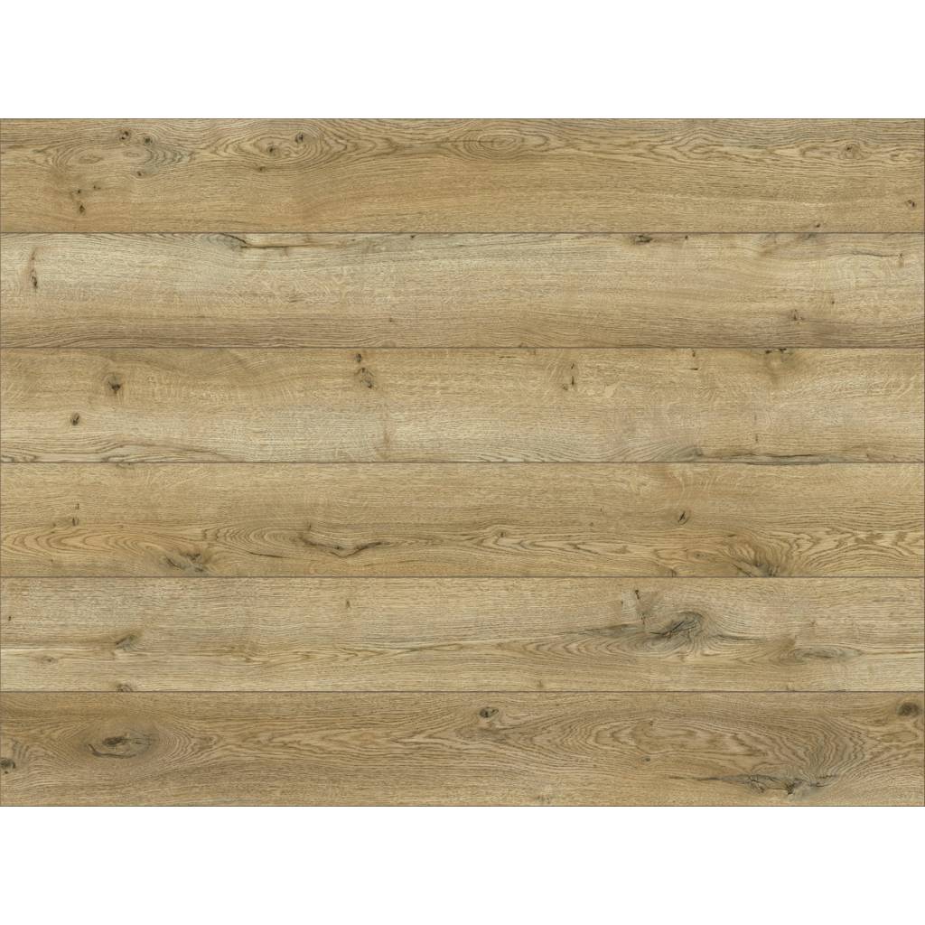 Panele podłogowe Dąb Alcanta 62599 AC4 8 mm
