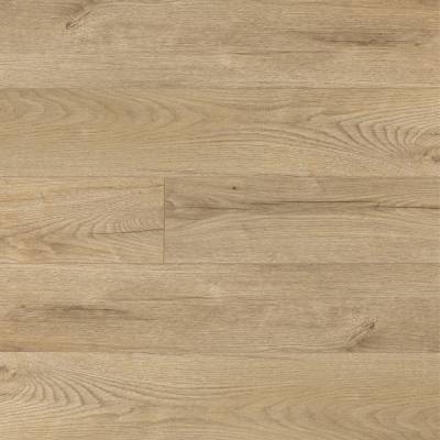 Panele podłogowe Dąb Winton D3280 AC5 8 mm, 89LGV4-3280