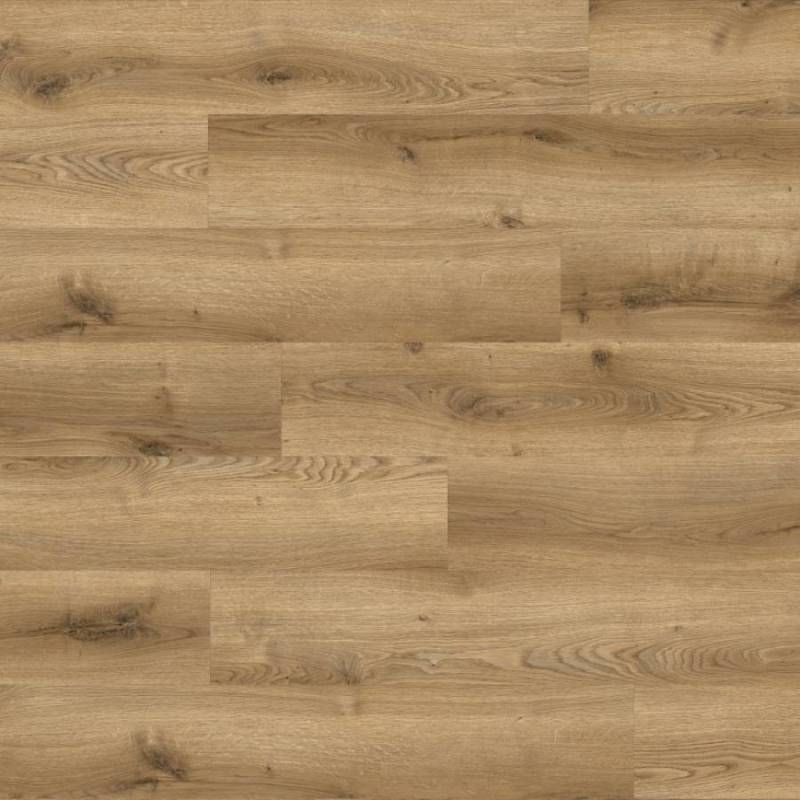Panele winylowe SPC LVT Dąb staropolski JV03 Klasa 32 4 mm, 400086156