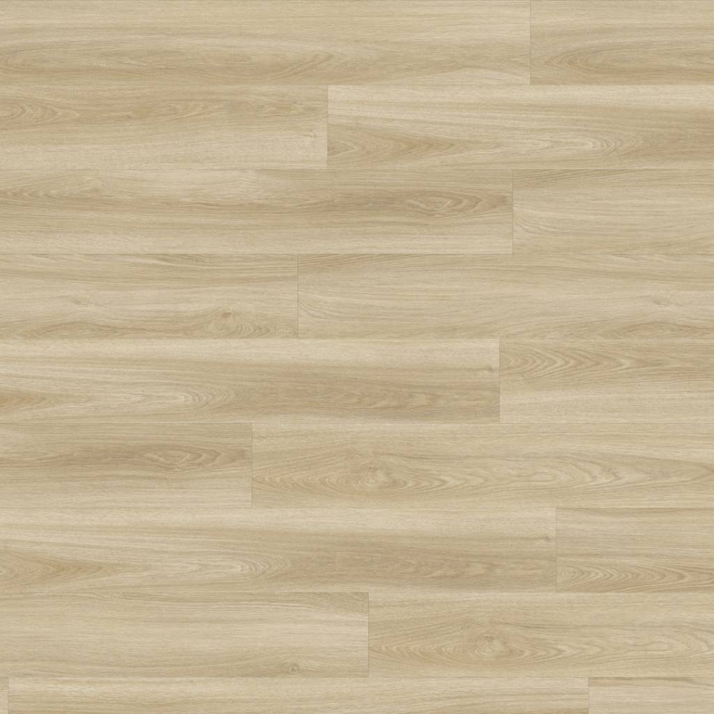 Panele winylowe z podkładem SPC LVT Dąb Riviera 03254LA Klasa 32 5 mm, 400086215