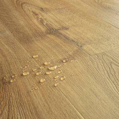 Fall oak honey Klasa 33 2.5 mm, SGMPC20323