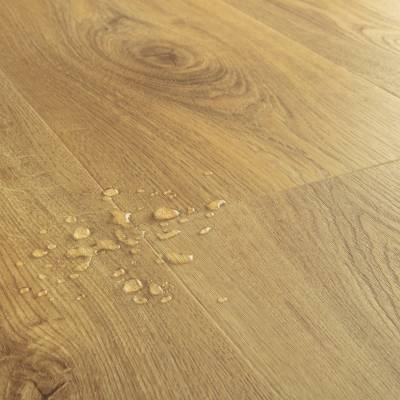 Fall oak natural Klasa 33 2.5 mm, SGMPC20325