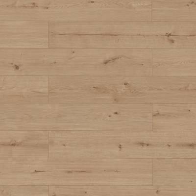 Panele winylowe SPC z podkładem Pazin 62726 Klasa 34 5.5 mm