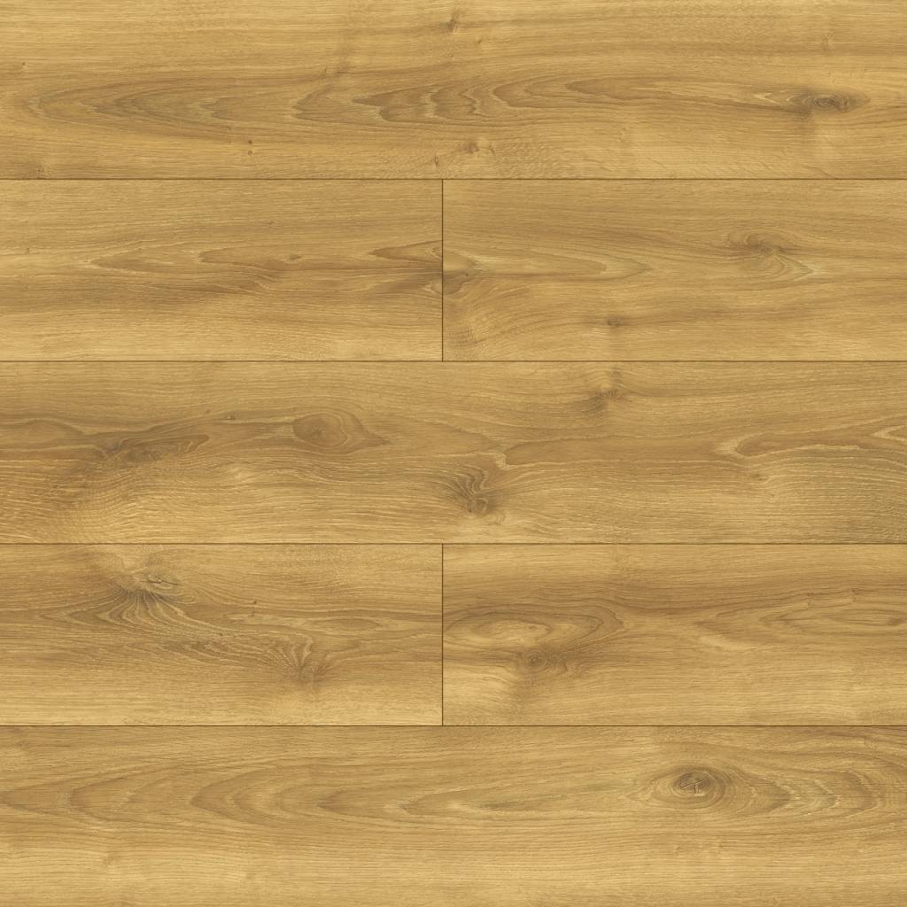 Panele podłogowe Dąb Alodia D40634 AC5 10 mm, PBBE40634