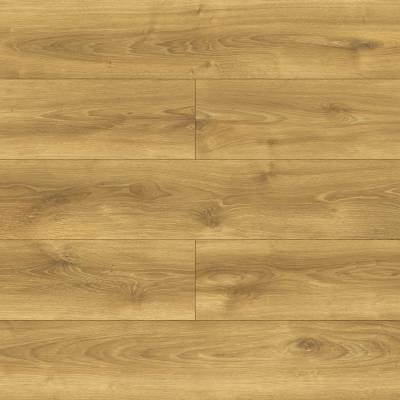 Panele podłogowe Dąb Alodia D40634 AC5 10 mm, PBBE40634