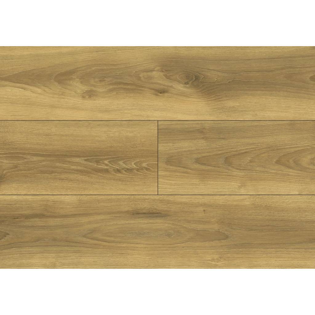 Panele podłogowe Dąb Falcon D40324 AC5 8 mm, AUVO40324