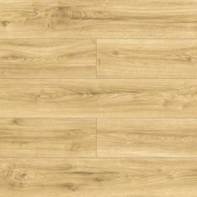 Panele podłogowe Dąb Majalis D40364 AC6 10 mm, AUFI40364