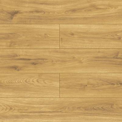 Panele podłogowe Dąb Andante D40424 AC5 12 mm, AUSY40424