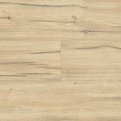 Panele podłogowe Dąb Cortina D40224 AC4 8 mm, PBMI40224