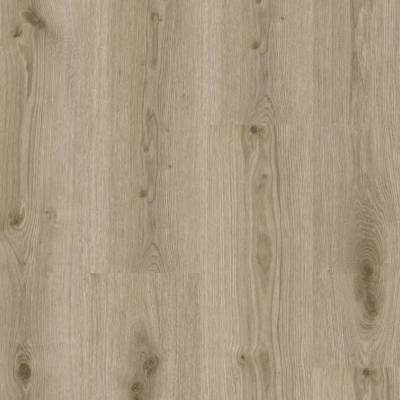 Panele winylowe SPC Primary Oak Light Grey 260032006 Klasa 31 5 mm
