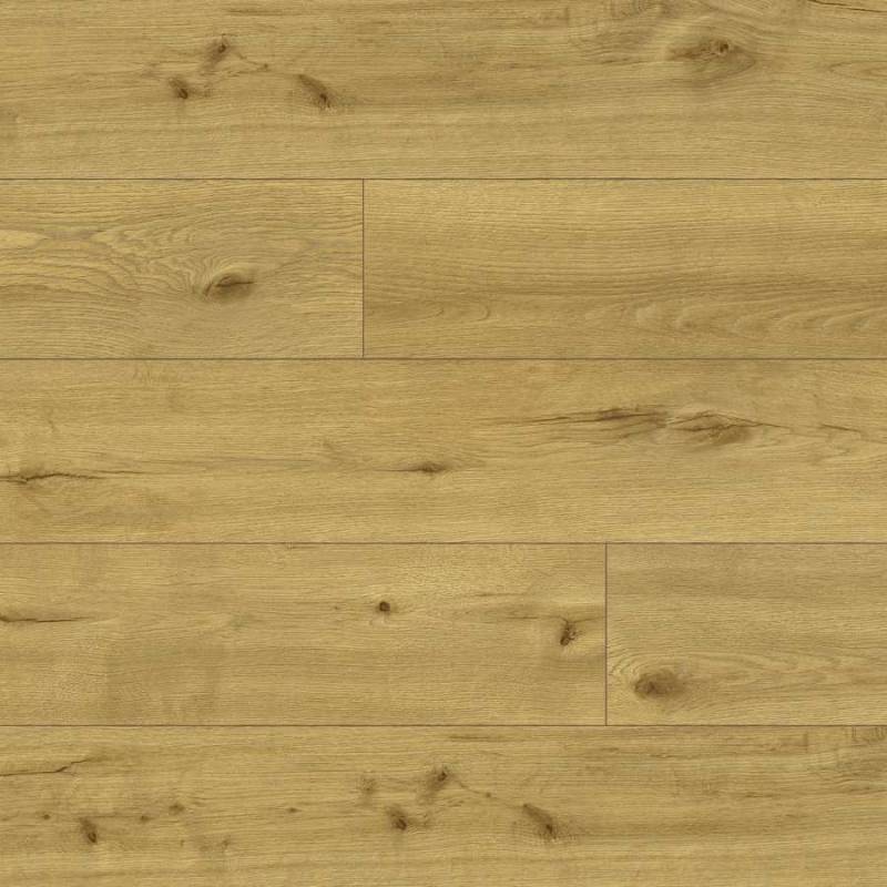 Panele winylowe ze zintegrowanym podkładem Tasmanian 65141 