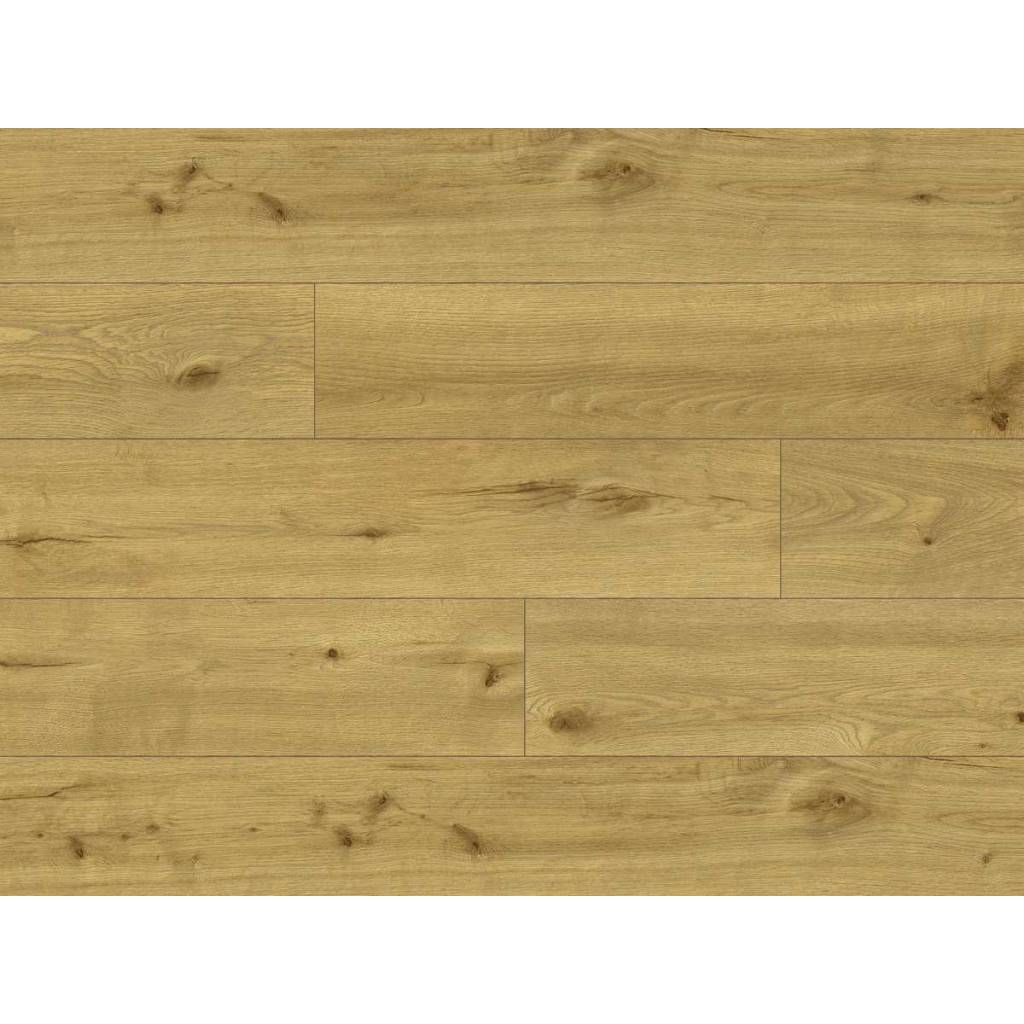 Panele winylowe ze zintegrowanym podkładem Tasmanian 65141 Klasa 34 5 mm