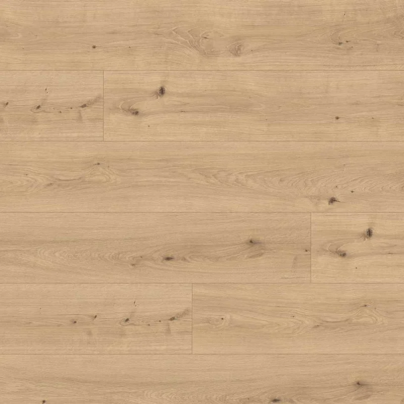 Panele podłogowe Dąb Cadiz naturalny EL2136  AC5 10 mm, 17