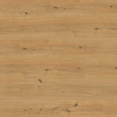 Panele podłogowe Dąb Cadiz miodowy EL2137 AC5 10 mm, 1790659