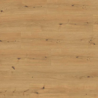 Panele podłogowe Dąb Cadiz miodowy EL2137 AC5 10 mm, 1790659