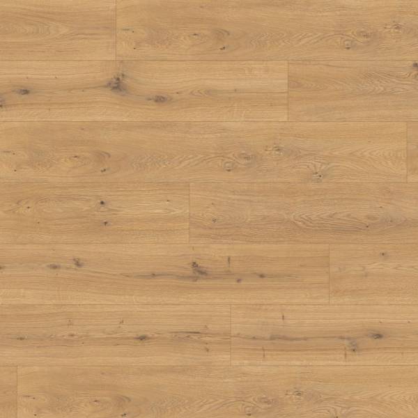 Panele podłogowe Dąb Predaia miodowy EL2009 AC4 8 mm, 1783