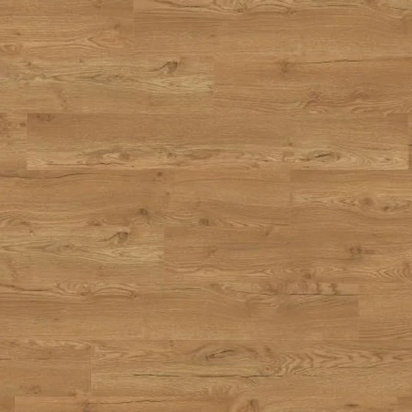 Panele podłogowe Dąb Olchon miodowy Naturalny 8 mm AC4, 17