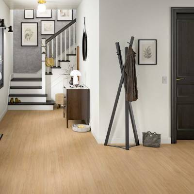 Panele podłogowe Dąb Casella naturalny EL2152 AC4 8 mm, 1789756