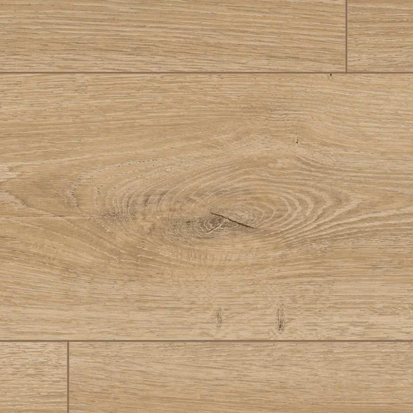 Panele podłogowe Dąb Treviso naturalny Naturalny 8 mm AC5,