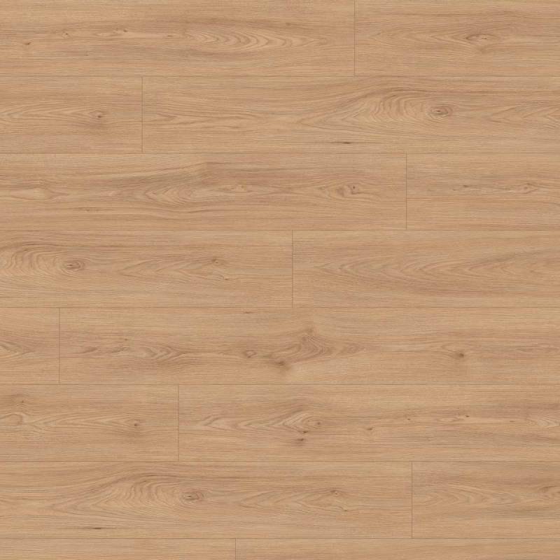 Panele podłogowe Jesion Avio naturalny EL2242 AC5 8 mm, 1784340