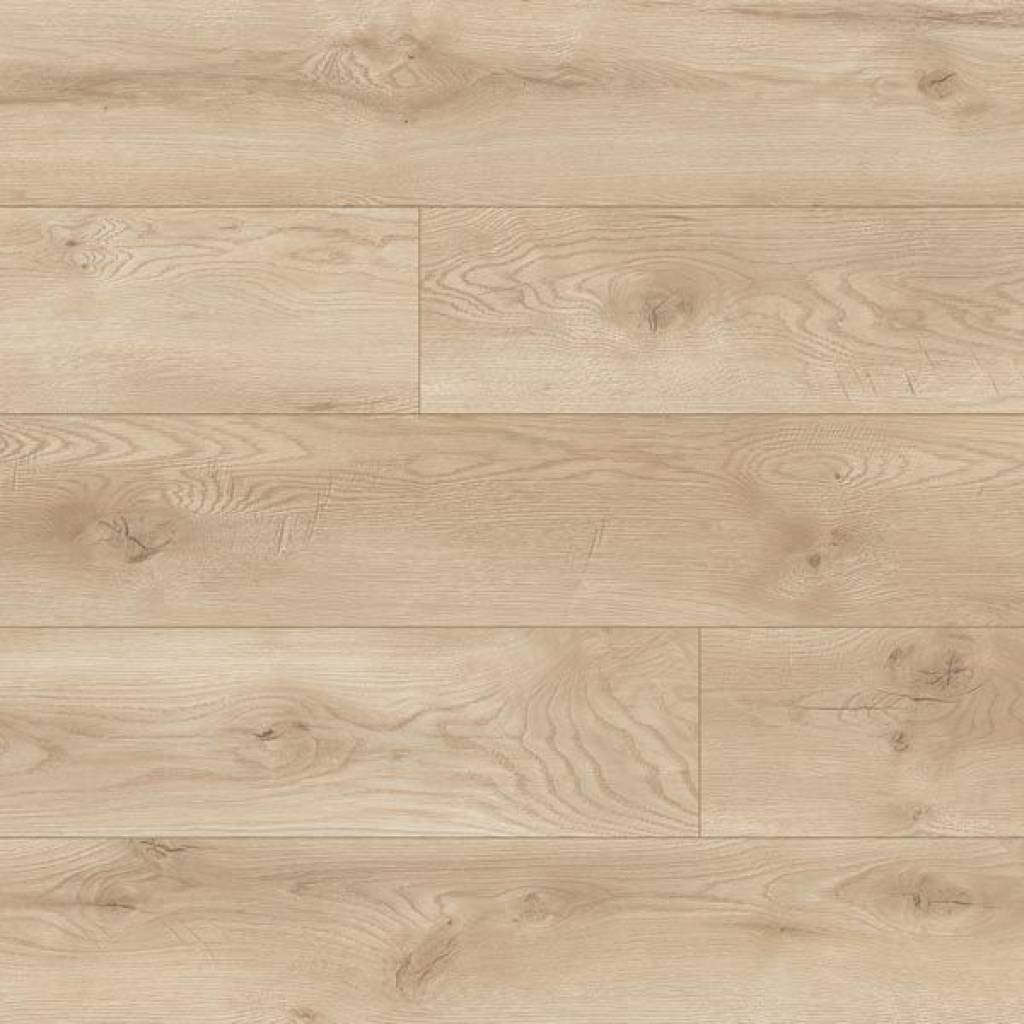 Panele podłogowe Dąb Albergo 66709 AC5 8 mm
