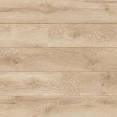 Panele podłogowe Dąb Albergo 66709 AC5 8 mm