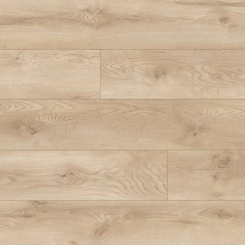 Panele podłogowe Dąb Albergo 66709 AC5 8 mm