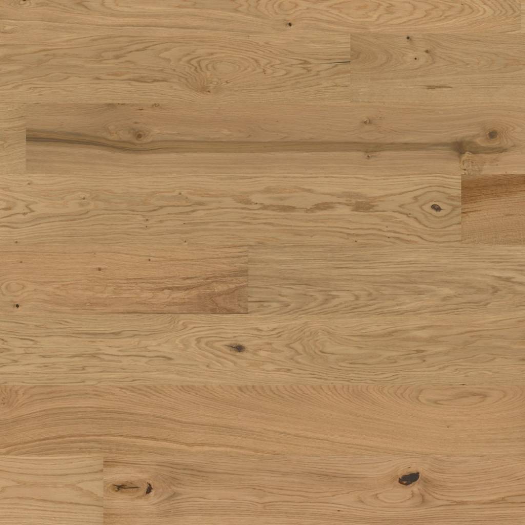 Dąb Aster 131248200 13 mm