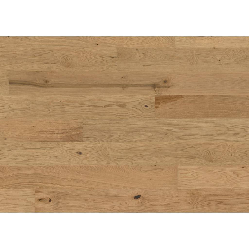 Dąb Aster 131248200 13 mm