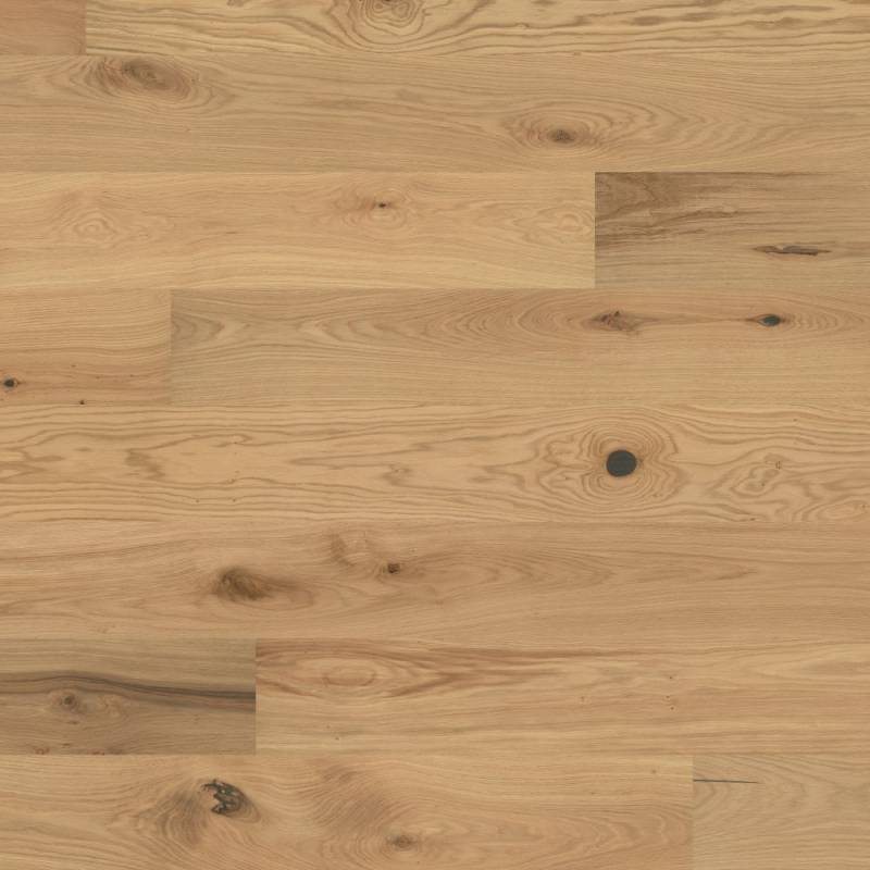 Dąb Yarrow 131245200 13 mm