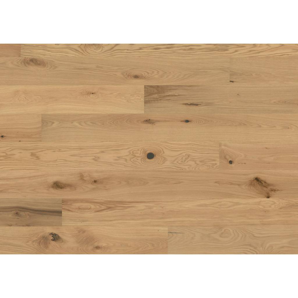 Dąb Yarrow 131245200 13 mm