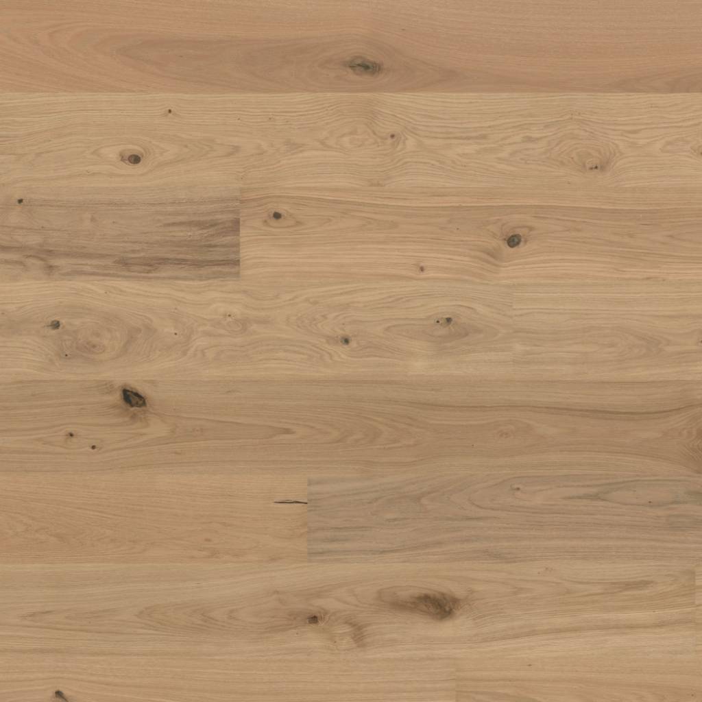 Dąb Gentian 131249200 13 mm