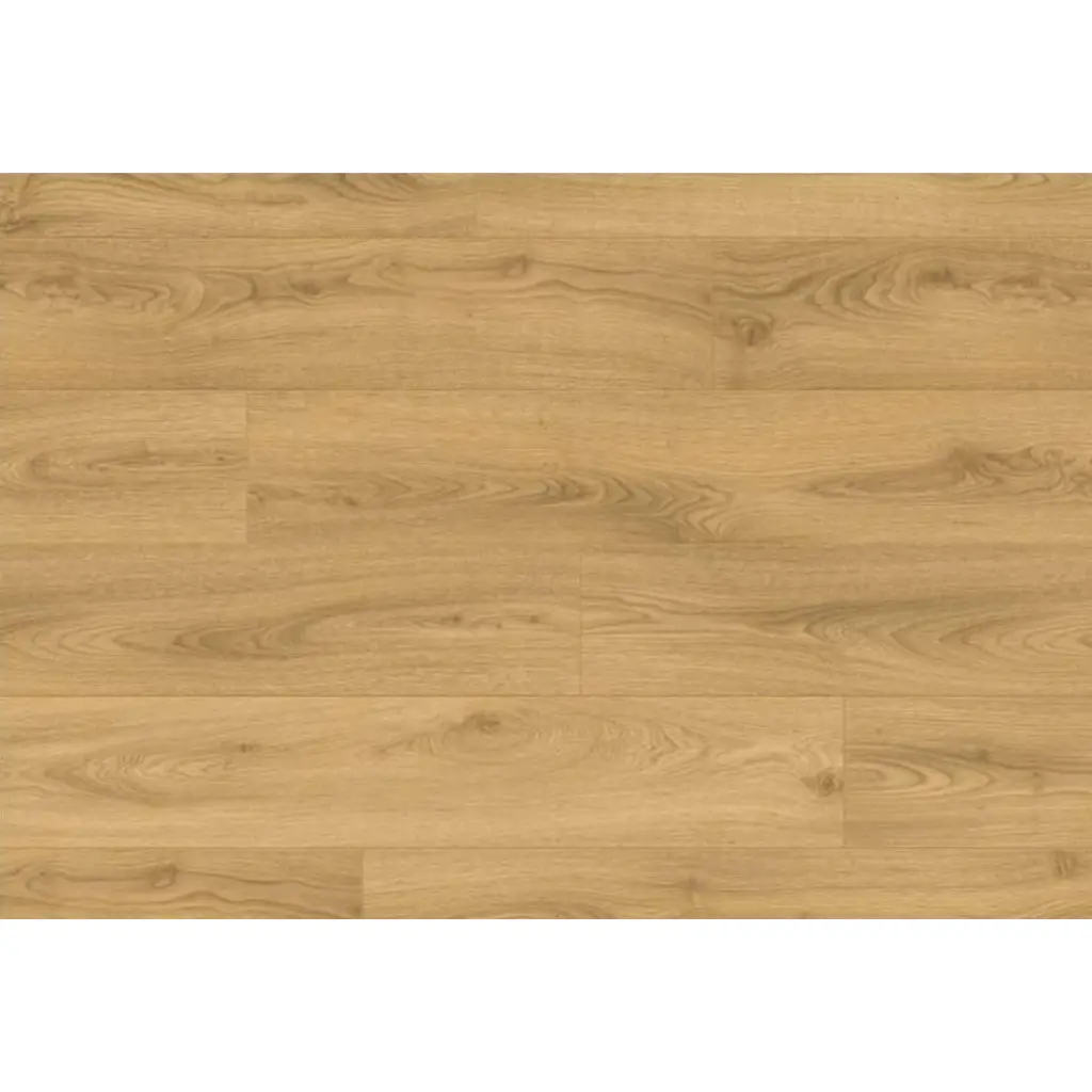 Panele podłogowe Dąb Piaskowy CLP5801 AC4 8 mm