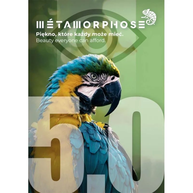 Panele winylowe SPC ze zintegrowanym podkładem Jodełka Gra