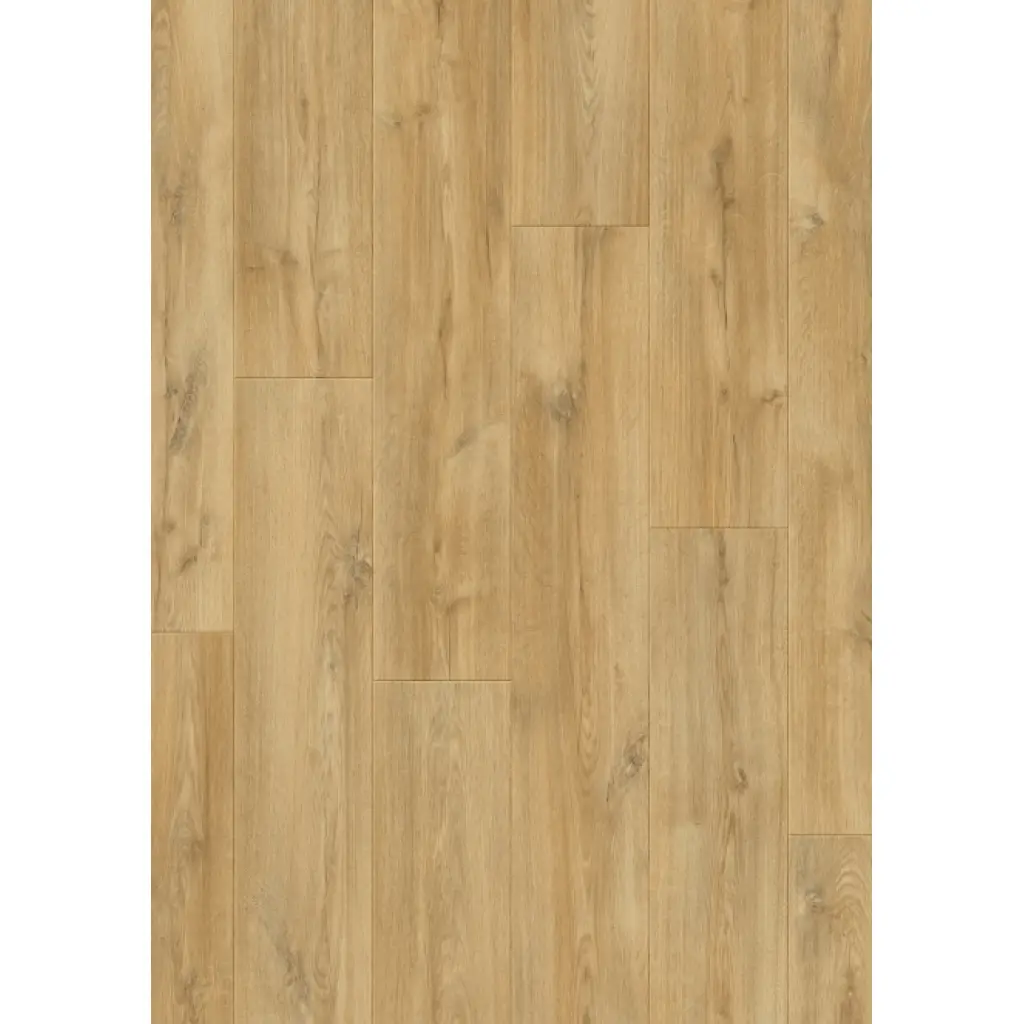 Panele podłogowe Estasi 777389 AC5 8 mm, 400107627