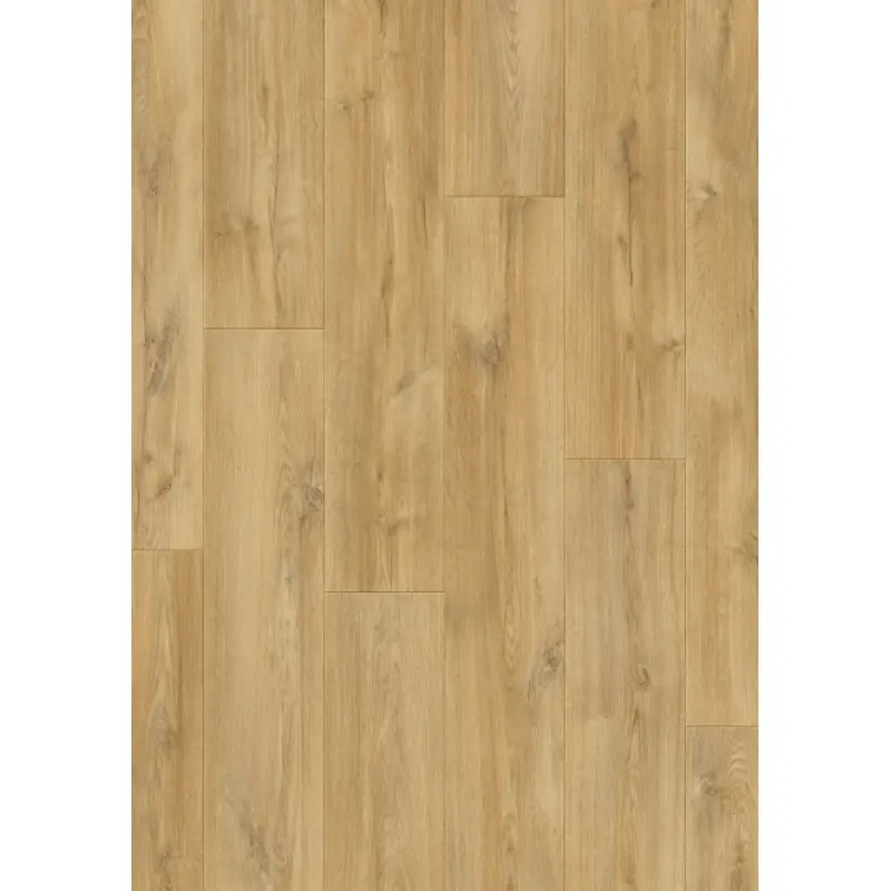 Panele podłogowe Estasi 777389 AC5 8 mm, 400107627