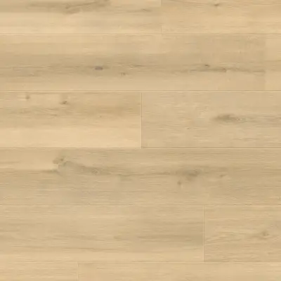 Panele podłogowe Brivido 777393  AC5 8 mm, 400107631