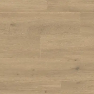 Panele podłogowe Sogno 777382 AC5 8 mm, 400107643