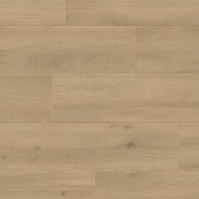 Panele podłogowe Sogno 777382 AC5 8 mm, 400107643
