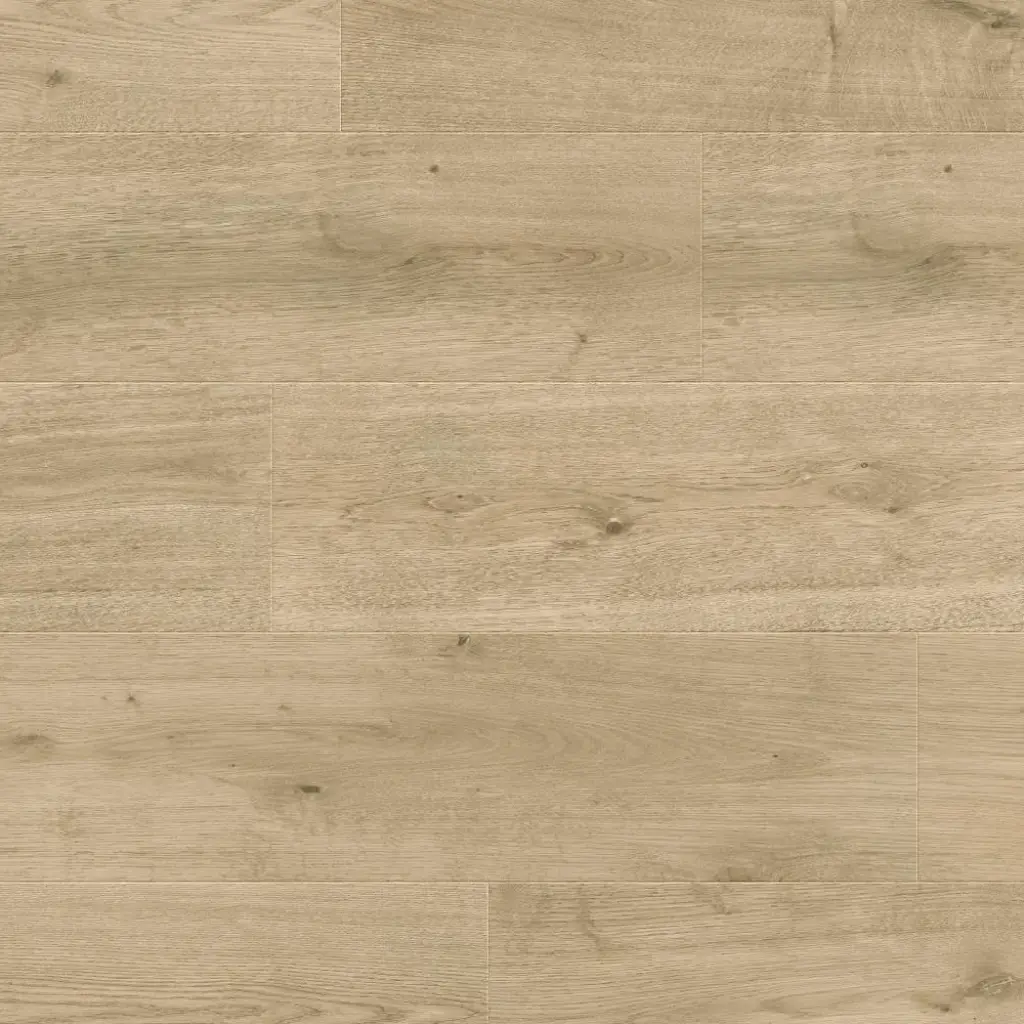 Panele podłogowe Nostalgia 777383 AC5 8 mm, 400107644