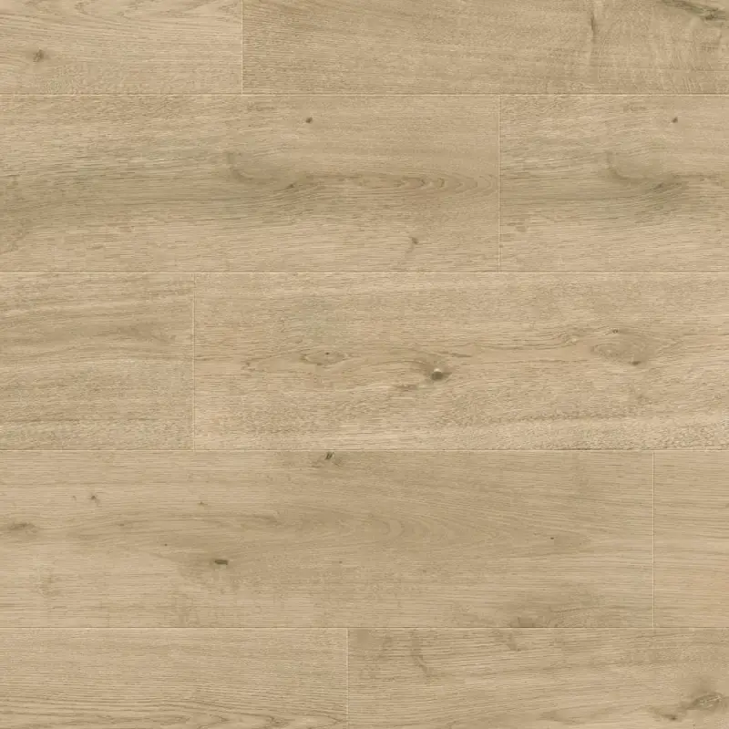 Panele podłogowe Nostalgia 777383 AC5 8 mm, 400107644