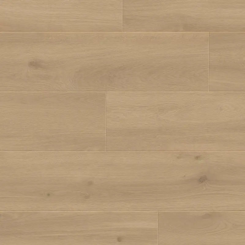 Panele podłogowe Felicita 777378 AC5 8 mm, 400107639 - 2