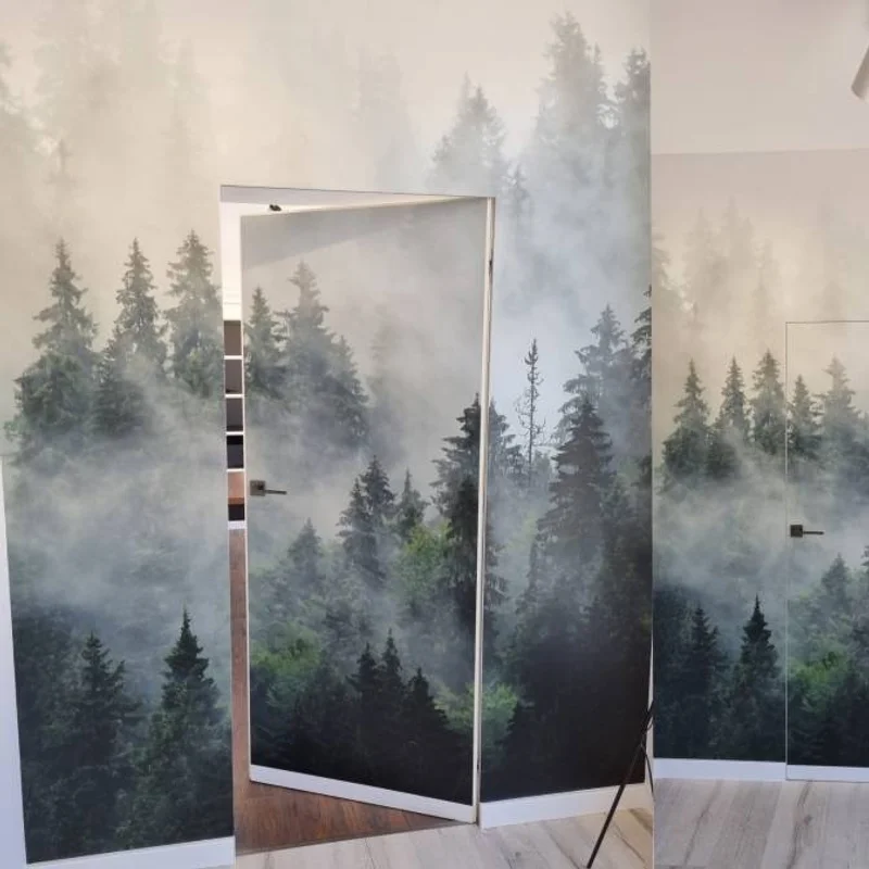 Zestaw Drzwi ukryte + Ościeżnica Sara Color odwrotna przyl