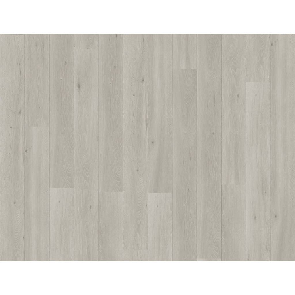 Panele Podłogowe Dąb Jasny Long Island LPU1660 AC4 9.5 mm
