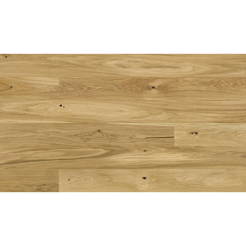 Dąb Askania grande 5Gc 1WG000675 14 mm