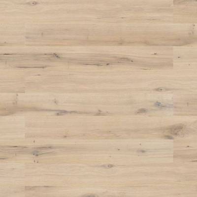Dąb Ivory Grande 5Gc 1WG000626 14 mm