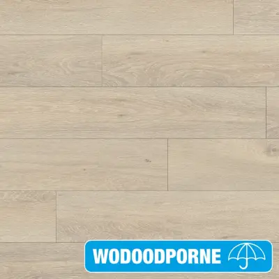 Panele Podłogowe Dąb Moonlight Jasny CLM1658 AC4 8 mm