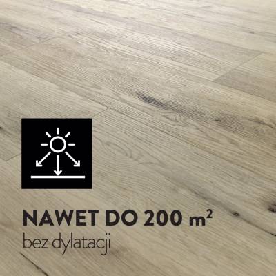 Panele Winylowe SPC LVT Dąb Panama CA113 Klasa 33 5 mm