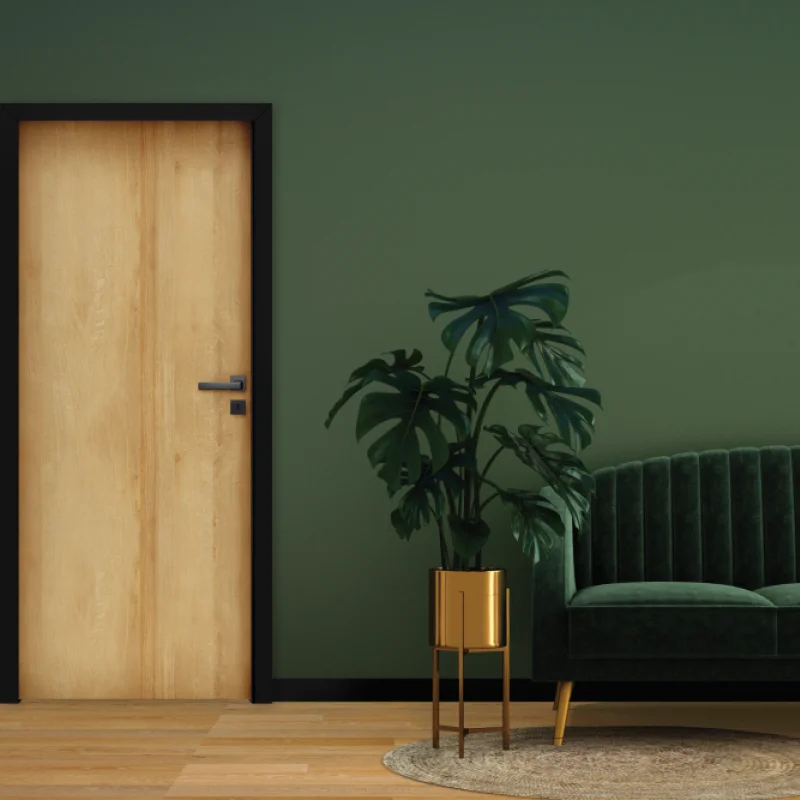 Komplet Drzwi + Ościeżnica regulowana Invado Loft lewe 80c